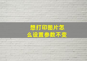 想打印图片怎么设置参数不变