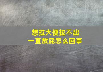 想拉大便拉不出一直放屁怎么回事