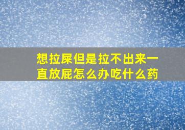 想拉屎但是拉不出来一直放屁怎么办吃什么药