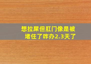 想拉屎但肛门像是被堵住了咋办2.3天了