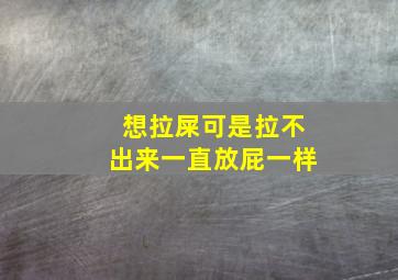 想拉屎可是拉不出来一直放屁一样