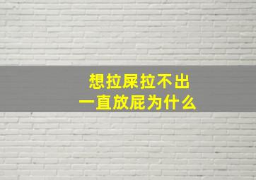 想拉屎拉不出一直放屁为什么