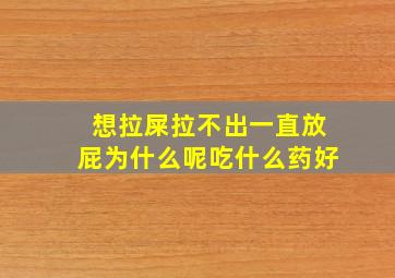 想拉屎拉不出一直放屁为什么呢吃什么药好