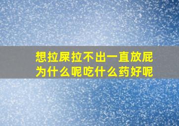 想拉屎拉不出一直放屁为什么呢吃什么药好呢