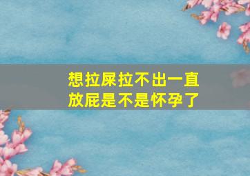 想拉屎拉不出一直放屁是不是怀孕了