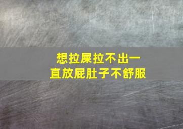 想拉屎拉不出一直放屁肚子不舒服