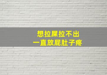 想拉屎拉不出一直放屁肚子疼