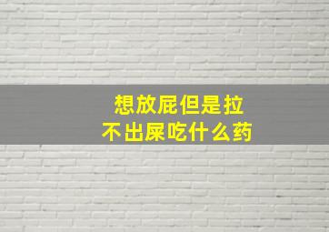 想放屁但是拉不出屎吃什么药