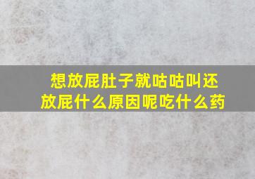 想放屁肚子就咕咕叫还放屁什么原因呢吃什么药