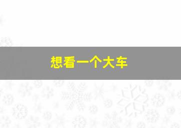 想看一个大车