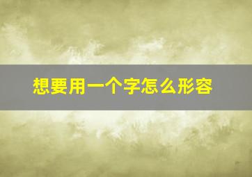 想要用一个字怎么形容