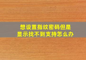 想设置指纹密码但是显示找不到支持怎么办