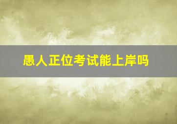 愚人正位考试能上岸吗