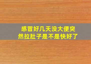 感冒好几天没大便突然拉肚子是不是快好了