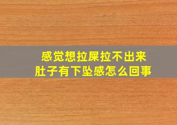 感觉想拉屎拉不出来肚子有下坠感怎么回事