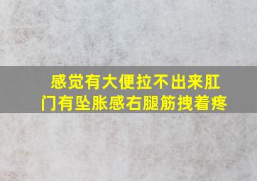 感觉有大便拉不出来肛门有坠胀感右腿筋拽着疼