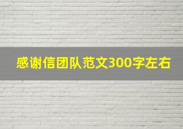 感谢信团队范文300字左右