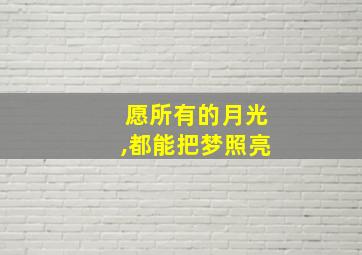 愿所有的月光,都能把梦照亮