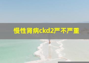 慢性肾病ckd2严不严重