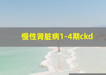 慢性肾脏病1-4期ckd