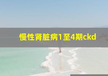 慢性肾脏病1至4期ckd