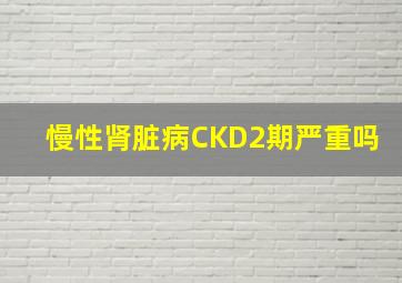 慢性肾脏病CKD2期严重吗