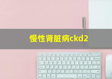 慢性肾脏病ckd2