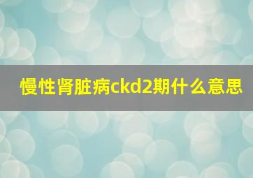 慢性肾脏病ckd2期什么意思