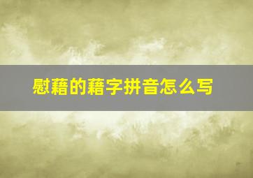 慰藉的藉字拼音怎么写