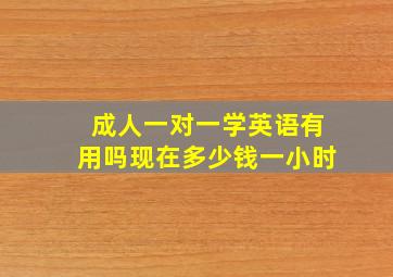 成人一对一学英语有用吗现在多少钱一小时