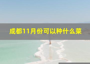 成都11月份可以种什么菜