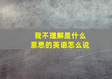 我不理解是什么意思的英语怎么说