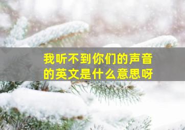 我听不到你们的声音的英文是什么意思呀