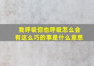 我呼吸你也呼吸怎么会有这么巧的事是什么意思