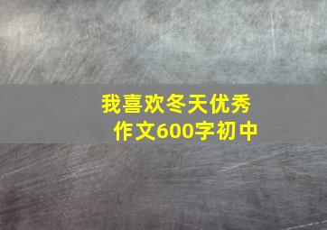 我喜欢冬天优秀作文600字初中