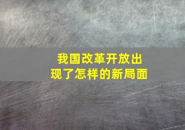 我国改革开放出现了怎样的新局面