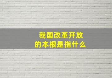 我国改革开放的本根是指什么