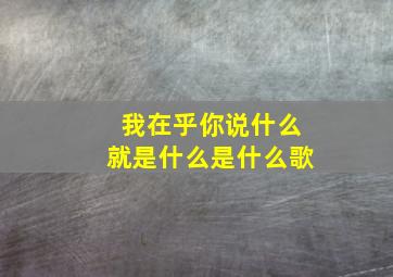 我在乎你说什么就是什么是什么歌