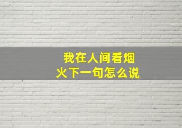 我在人间看烟火下一句怎么说