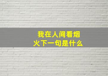 我在人间看烟火下一句是什么