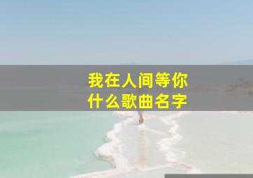 我在人间等你什么歌曲名字