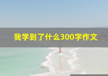 我学到了什么300字作文