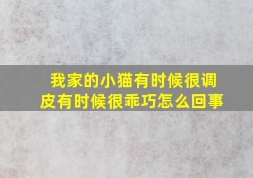 我家的小猫有时候很调皮有时候很乖巧怎么回事