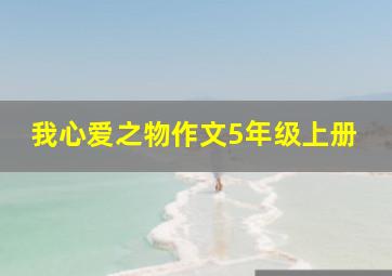 我心爱之物作文5年级上册