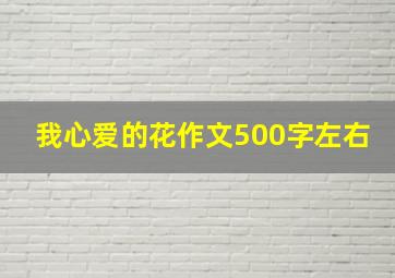 我心爱的花作文500字左右