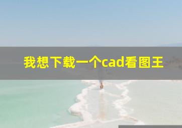 我想下载一个cad看图王