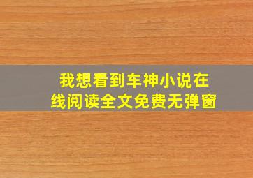 我想看到车神小说在线阅读全文免费无弹窗