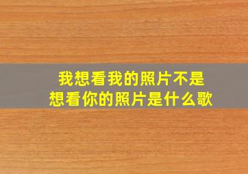 我想看我的照片不是想看你的照片是什么歌