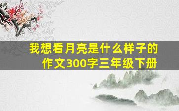 我想看月亮是什么样子的作文300字三年级下册