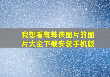 我想看蜘蛛侠图片的图片大全下载安装手机版